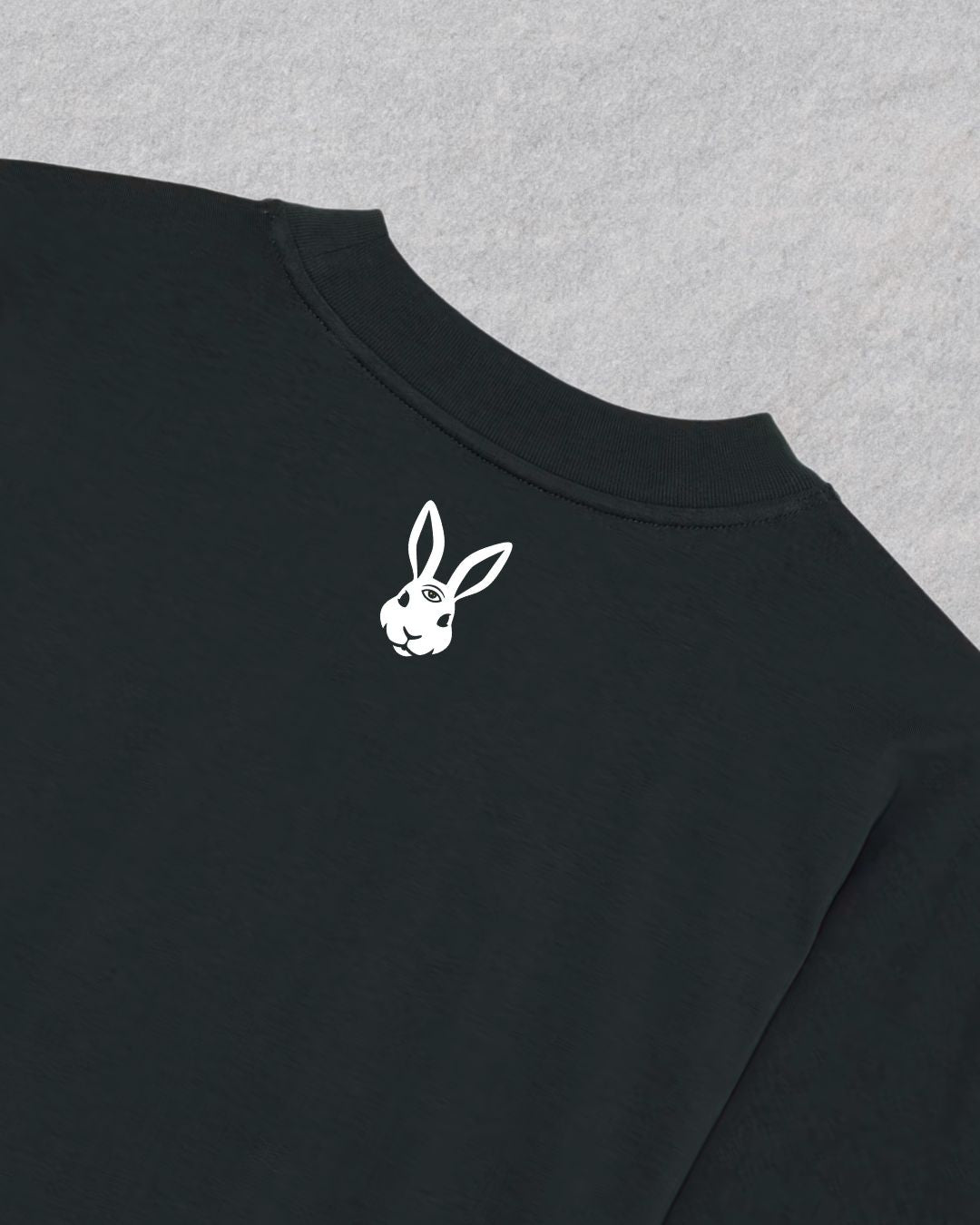 FOLLOW THE WHITE RABBIT