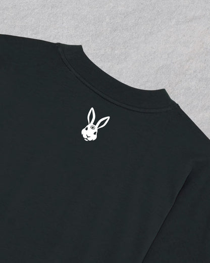 FOLLOW THE WHITE RABBIT